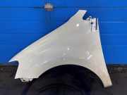 Kotflügel links vorne VW Polo V 6R, 6C