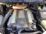 Motor ohne Anbauteile (Benzin) Mercedes-Benz M-Klasse W163