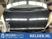 Motorhaube Kia Picanto 2 TA