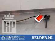 Antenne Dach Toyota IQ AJ1