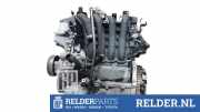 Motor ohne Anbauteile (Benzin) Kia Rio III UB