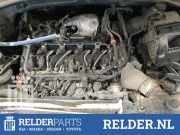 Verteilerrohr Kraftstoff Kia Sorento III UM