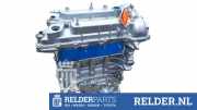 Motor ohne Anbauteile (Benzin) Kia Sportage 4 QL, QLE