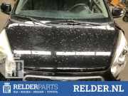 Motorhaube Kia Picanto 2 TA