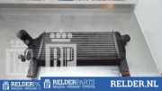 Ladeluftkühler Nissan Navara D40 14461EB360