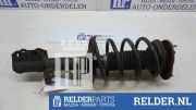 Federbein rechts vorne Toyota Corolla Liftback E12