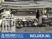 Kühler Toyota Corolla Verso R1 NMTER