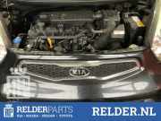 Kühlergrill Kia Picanto 2 TA