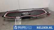 Kühlergrill Kia Picanto 2 TA 863511Y300