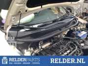 Grill Windlauf Kia Rio III UB