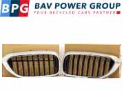 Grill Set ROOSTER NIEREN LINKS RECHTS BMW 5 serie (G30) Limousine 530i 2.0 TwinPower Turbo 16V (B46-B20B) 2019-02