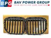 Grill GRILL NIEREN G07 BMW X7 SUV xDrive 40i 3.0 24V Mild Hybrid (B58-B30C) 2021