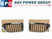 Grill Set ROOSTER NIEREN LINKS RECHTS BMW 5 serie (G30) Limousine 530i 2.0 TwinPower Turbo 16V (B46-B20B) 2019-02
