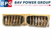 Grill LINKS ROOSTER NIEREN BMW X6 (F16) SUV xDrive35i 3.0 24V (N55-B30A) 2018-01