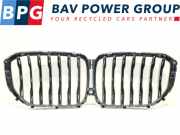 Grill GRILL SIERROOSTER 51137454889 BMW X5 (G05) SUV xDrive 30d 3.0 24V (B57-D30A) 2021