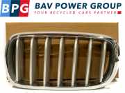 Grill Set LINKS RECHTS ROOSTER NIEREN NV BMW X5 (F15) SUV xDrive 35i 3.0 (N55-B30A) 2017-01