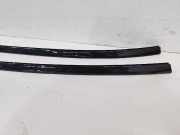 Dach Zierliste Links OF RECHTS 51617423989 BMW 3 serie (G20) Limousine 320d 2.0 TwinPower Turbo 16V (B47-D20B) 2019