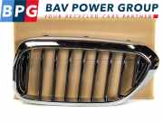 Grill Set ROOSTER NIEREN LINKS RECHTS BMW 5 serie (G30) Limousine 530i 2.0 TwinPower Turbo 16V (B46-B20B) 2019-02