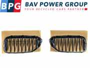 Grill Set ROOSTER NIEREN LINKS RECHTS BMW 5 serie (G30) Limousine 530i 2.0 TwinPower Turbo 16V (B46-B20B) 2019-02