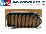 Grill Set ROOSTER NIEREN LINKS RECHTS BMW X2 (F39) SUV xDrive 20d 2.0 16V (B47-C20B) 2019-02