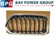 Grill Set ROOSTER NIEREN LINKS RECHTS BMW X2 (F39) SUV xDrive 20d 2.0 16V (B47-C20B) 2019-02