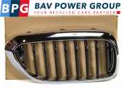 Grill Set ROOSTER NIEREN LINKS RECHTS BMW 5 serie (G30) Limousine 530i 2.0 TwinPower Turbo 16V (B46-B20B) 2019-02