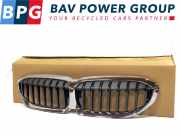 Grill SIERROOSTER VOOR G21 BMW 3 serie (G20) Limousine 320i 2.0 TwinPower Turbo 16V (B48-B20B) 2019-02