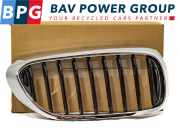 Grill RECHTS NIEREN G31 BMW 5 serie (G30) Limousine 540d xDrive 3.0 TwinPower Turbo 24V (B57-D30B) 2019-02