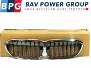 Grill SIERROOSTER VOOR G21 BMW 3 serie (G20) Limousine 320i 2.0 TwinPower Turbo 16V (B48-B20B) 2019-02