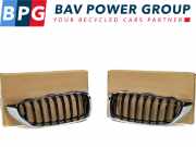 Grill Set ROOSTER NIEREN LINKS RECHTS BMW 4 serie (F33) Cabrio 420d 2.0 16V (N47-D20C) 2017-03