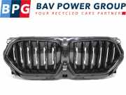 Grill LUCHTKLEPPEN GRILL 51745A29C27 BMW X6 (G06) SAC SUV xDrive 40i 3.0 24V (B58-B30C) 2021