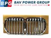 Grill GRILL NIEREN G07 BMW X7 SUV xDrive 40i 3.0 24V Mild Hybrid (B58-B30C) 2021