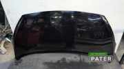 Motorhaube Hyundai i10 IA 66400B9000