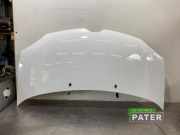 Motorhaube Renault Twingo III BCM 651226807R