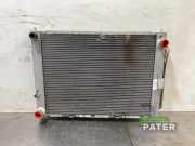 Kühler Renault Clio III BR0/1, CR0/1 8200688390
