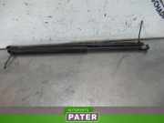 Heckklappendämpfer Fiat 500 312 51785412