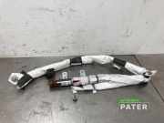 Airbag Dach links Tesla Model X 5YJX P103675600G