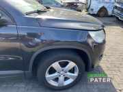 Kotflügel rechts vorne VW Tiguan I 5N 5N0821106A