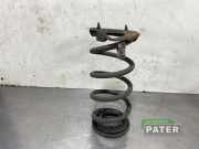 Feder hinten Tesla Model 3 5YJ3 104447200G