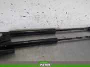 Heckklappendämpfer Citroen DS3 SA 9687550980