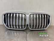 Kühlergrill BMW 2858 G05, F95 21454110