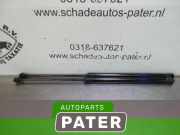 Heckklappendämpfer Nissan Qashqai II J11 904504EA1A