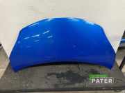 Motorhaube Toyota Aygo B1 533010H040
