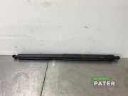 Heckklappendämpfer rechts Kia Niro II SG2 81840AT101