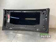 Türscheibe rechts hinten Tesla Model X 5YJX 103490300G