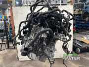 Motor ohne Anbauteile (Benzin) Volvo XC60 II 246