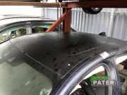 Schiebedach BMW 5er G30, F90