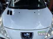 Motorhaube Peugeot 206+ T3E 7901R5