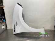 Kotflügel rechts vorne Hyundai i10 IA 66321B9010