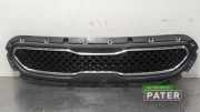 Kühlergrill Kia Niro I DE 86350G5000